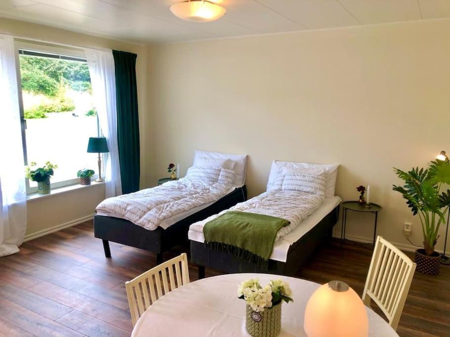 Cozy Modern Studio Apartment Stay Falkenberg Ngoại thất bức ảnh